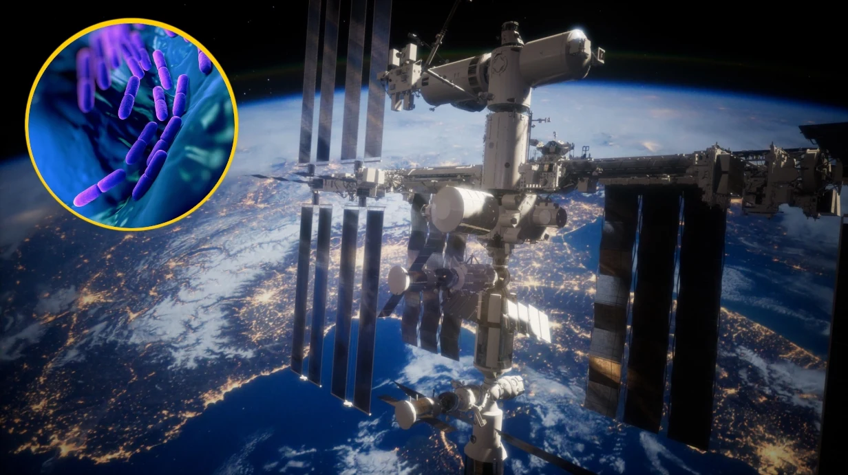 Bakterie na ISS mutują. Przez to stają się bardziej niebezpieczne. Bakterie na ISS mutują. Przez to stają się bardziej niebezpieczne.