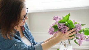 Dodaj do wazonu z wodą, a kwiaty bzu postoją nawet 2 tygodnie