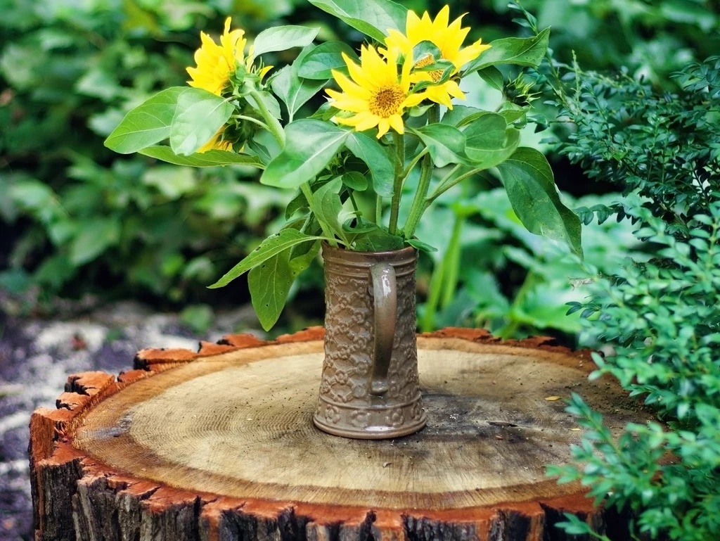 Przerób pień drzewa na stolik i udekoruj go kwiatami.
