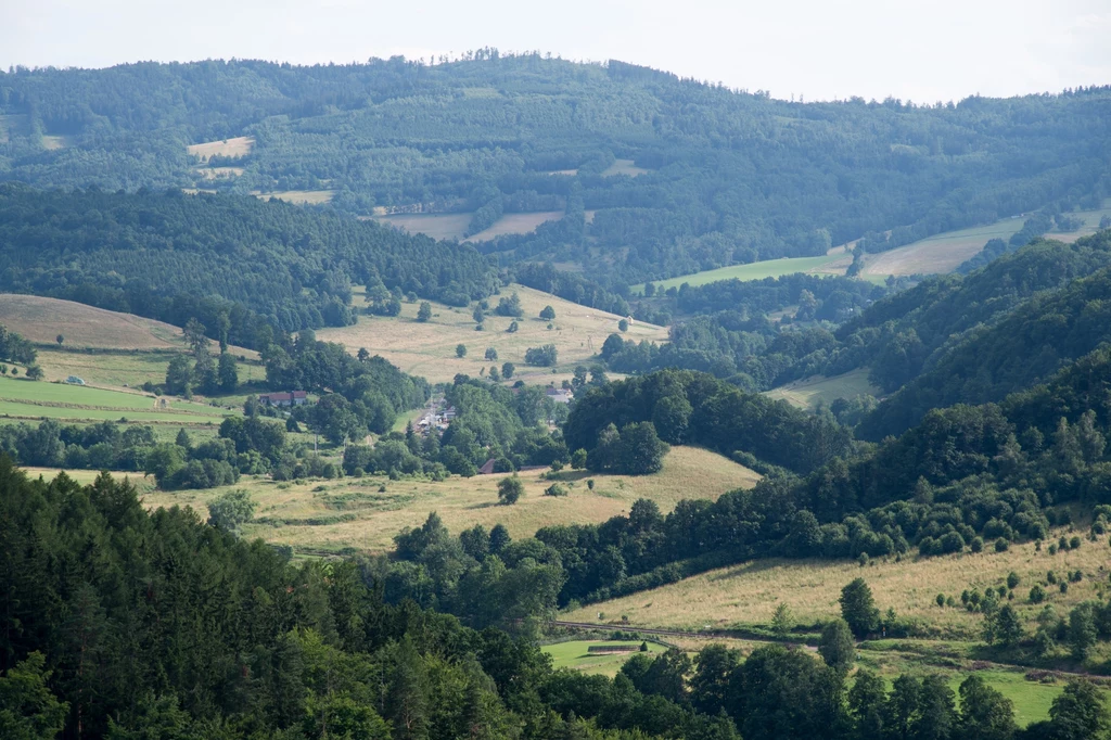 Widok z wieży Zamku Grodno.