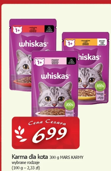 Корм для котів Whiskas