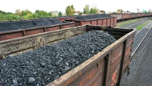 Pociągi wiozące węgiel są szkodliwe dla zdrowia. Są nowe wyniki badań