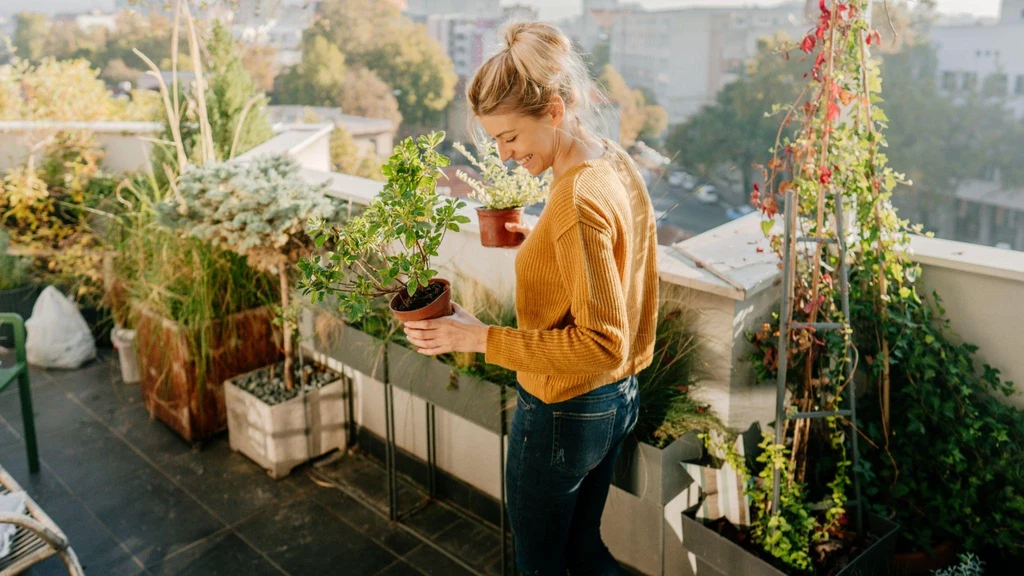 Jakie rośliny na balkon wybrać?