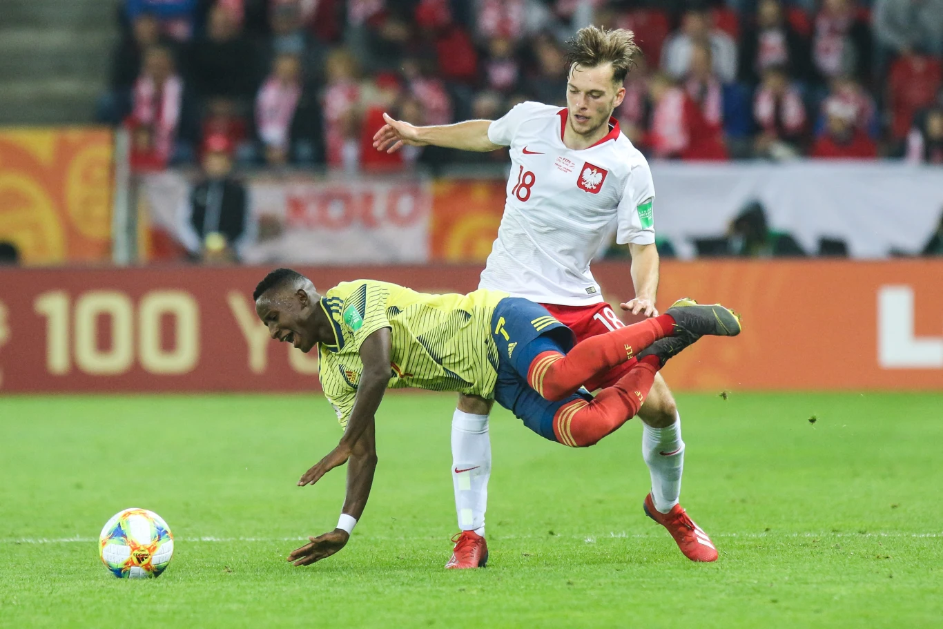 Mateusz Bogusz Mateusz Bogusz