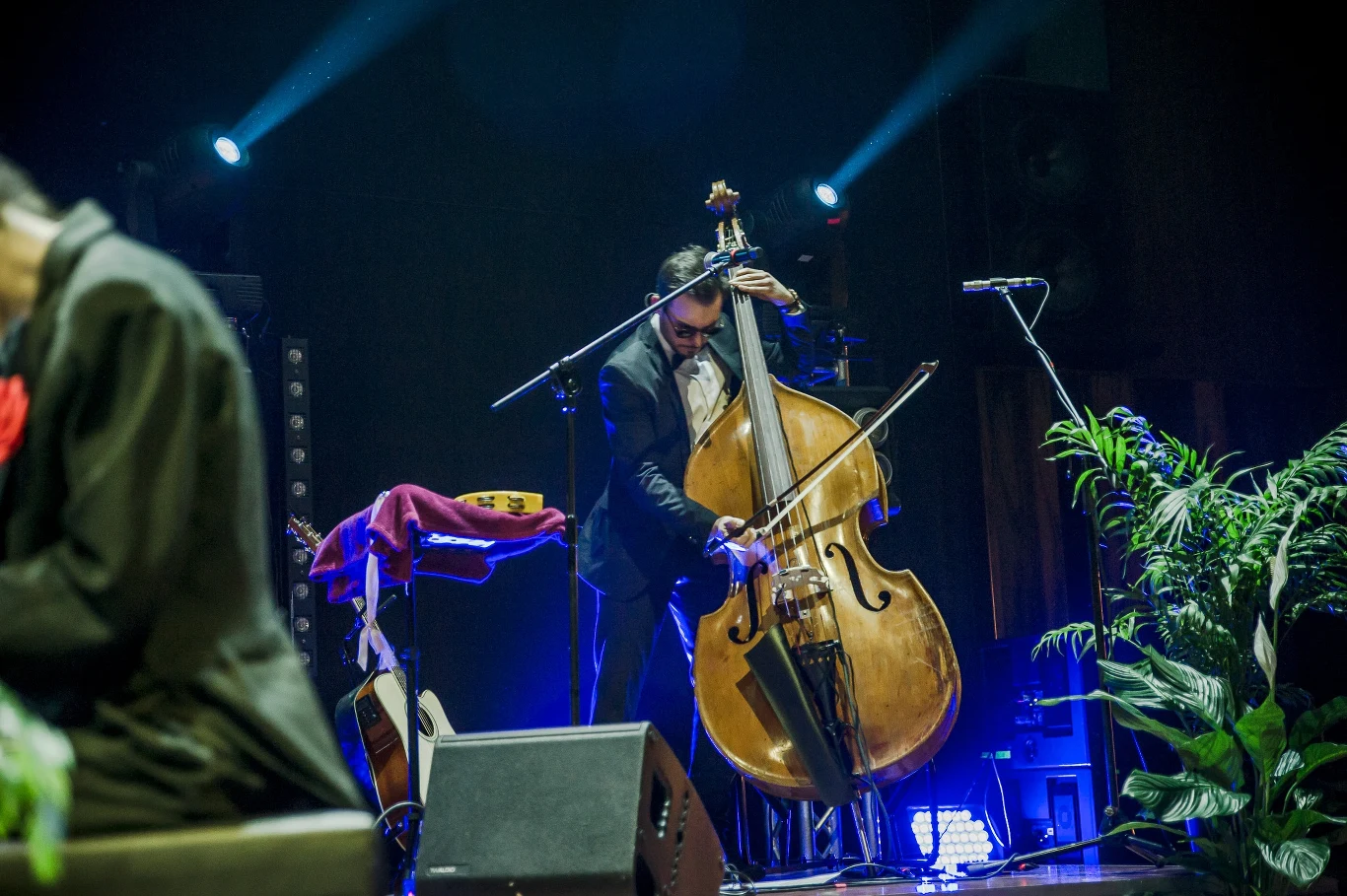 NEXT FEST 2024: jucho na scenie NEXT FEST 2024: jucho na scenie