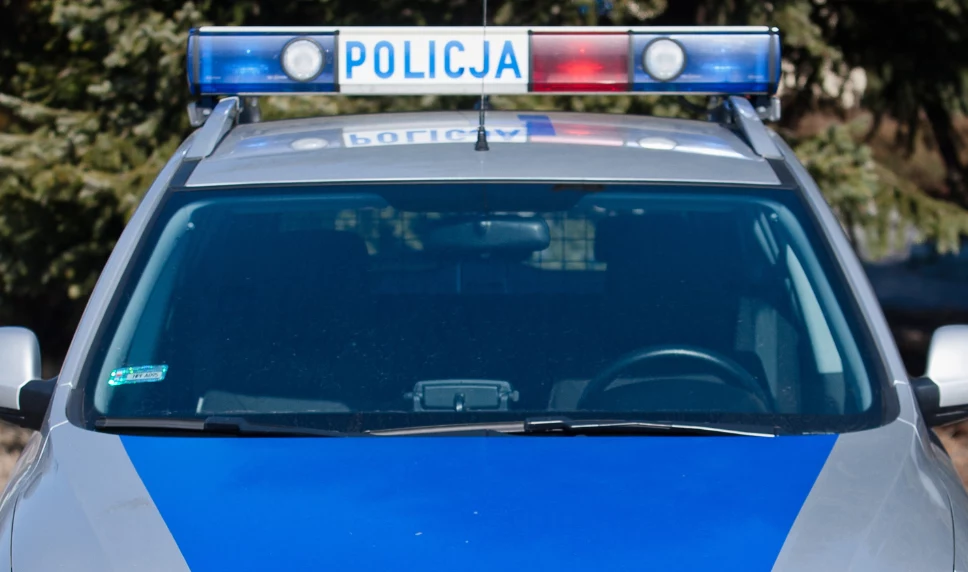Śląscy policjanci zatrzymali ruch, aby przenieść jeża w bezpieczne miejsce, zdj. ilustracyjne Śląscy policjanci zatrzymali ruch, aby przenieść jeża w bezpieczne miejsce, zdj. ilustracyjne
