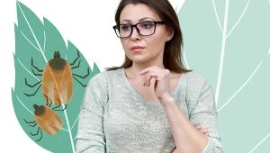 Takie badania należy wykonać w kierunku boreliozy