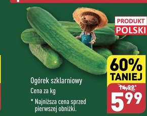 Ogórek Polski niska cena