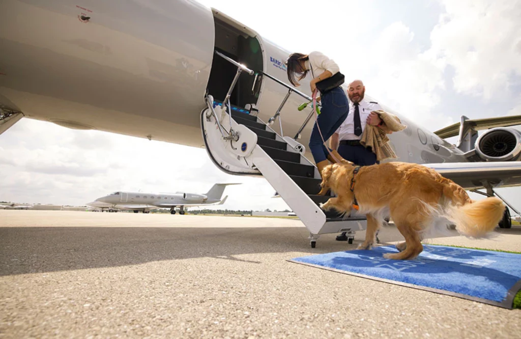 Psy na pokładzie linii Bark Air mają spokój i wygodę. Dyrektor generalny sprawdził nawet, jak to jest latać w transporterze umieszczonym w luku.