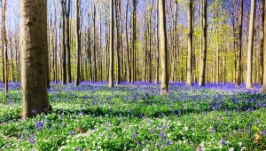 Takiej sytuacji nie notowano od pół wieku. Marzec z rekordami