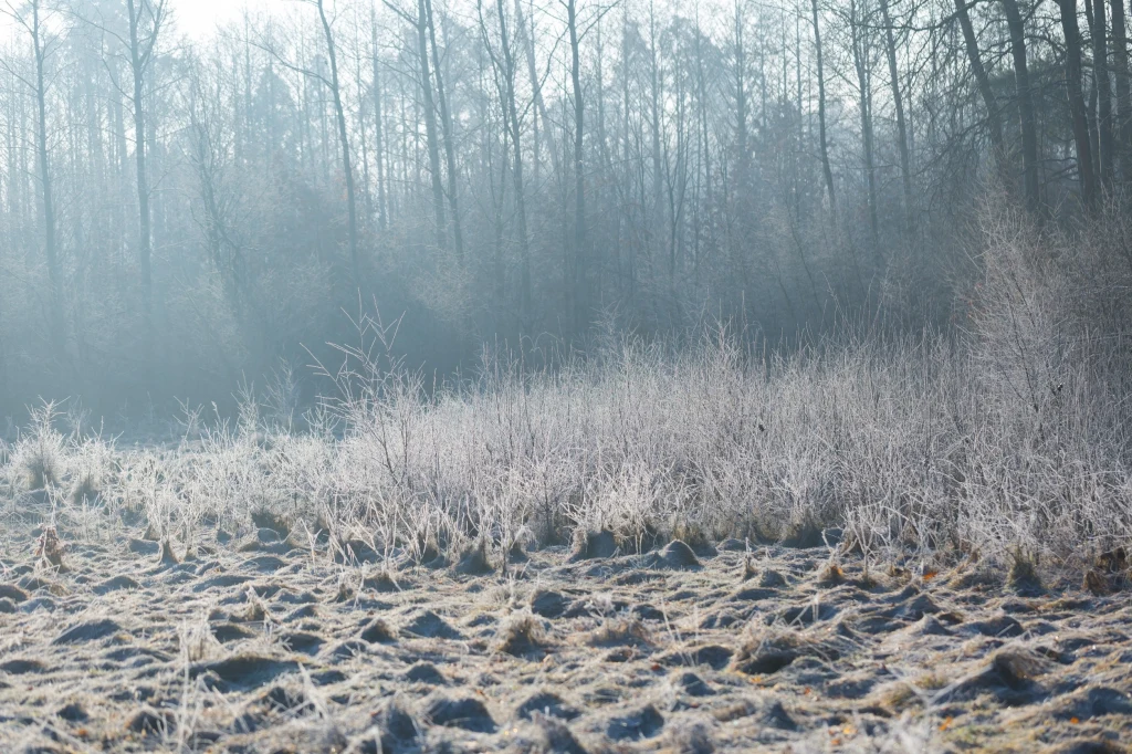 Noc z wtorku na środę w połowie kraju może być mroźna. Wydano alerty IMGW dla 10 województw Noc z wtorku na środę w połowie kraju może być mroźna. Wydano alerty IMGW dla 10 województw