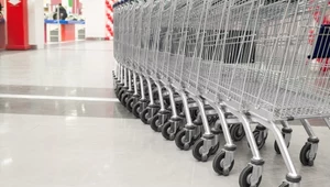 Suszone świerszcze można już kupić w 38 sklepach sieci Carrefour