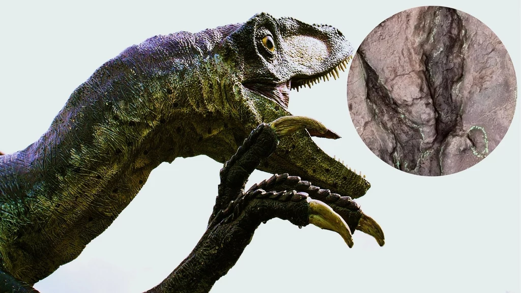 Raptory w większości nie były ogromnymi dinozaurami. Zdarzały się jednak wyjątki