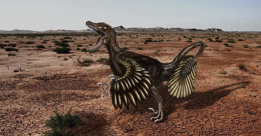 Welociraptor z Mongolii przedstawiany jako dinozaur pokryty piórami
