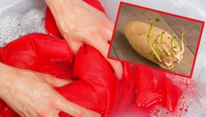 Uporczywe plamy na ubraniach? Przekrój to warzywo i potrzyj materiał