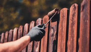 Zanim zaczniesz malować drewniane ogrodzenie, pamiętaj o usunięciu z niego mchu i innych zanieczyszczeń