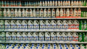 W USA mleko zniknie z półek? Wykryto w nim wirusa ptasiej grypy