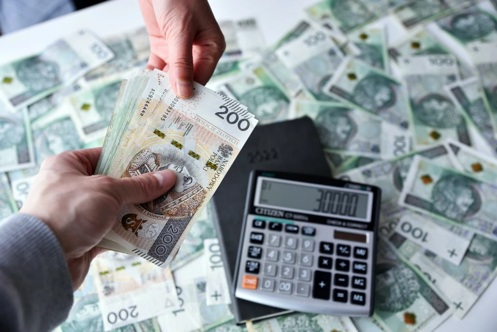 Płatności gotówkowe będą dopuszczone do określonej kwoty - takich zmian chce PE