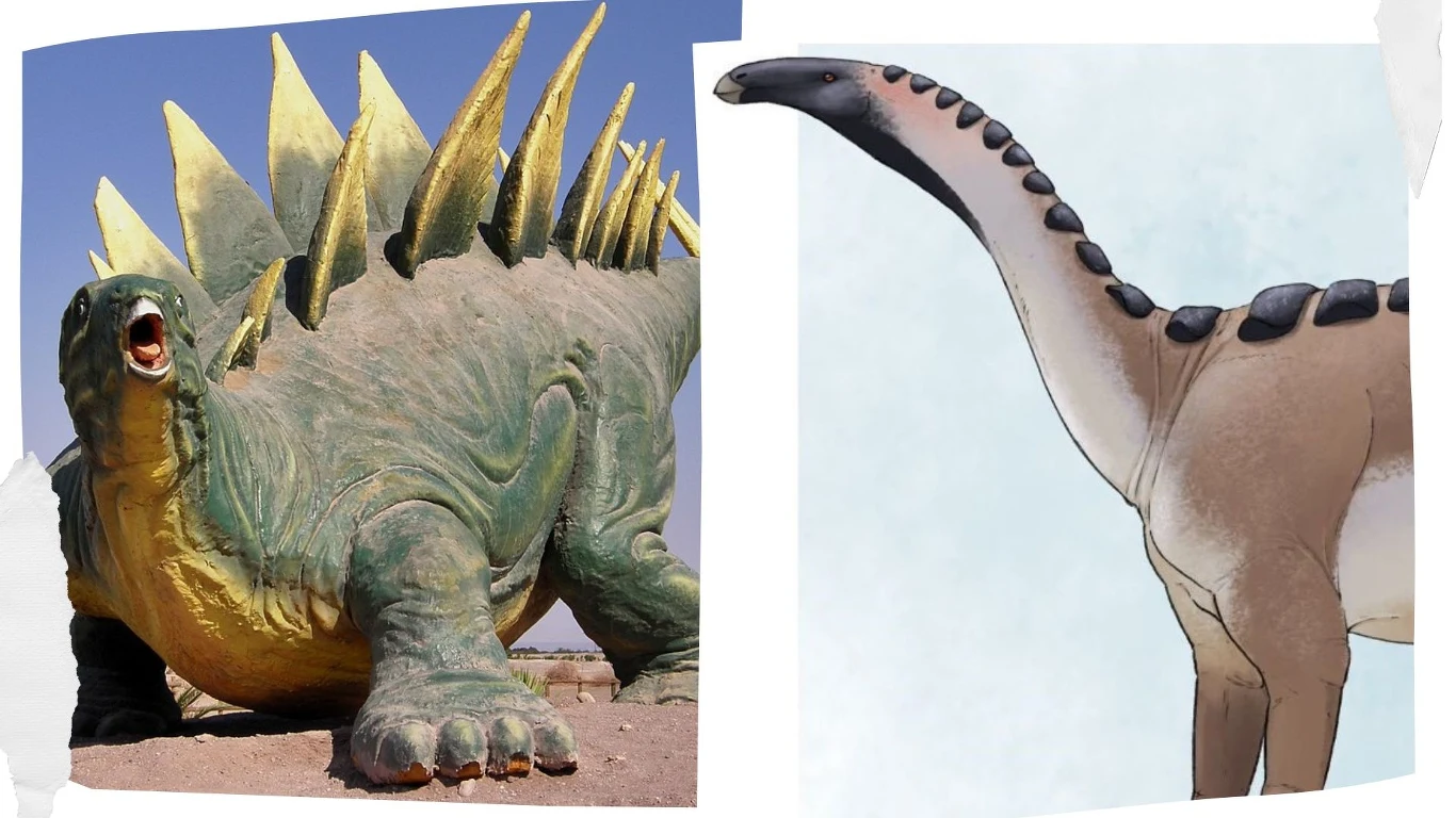 Stegozaur i tyreozaur z Maroka (fot. Maija Karala) Stegozaur i tyreozaur z Maroka (fot. Maija Karala)