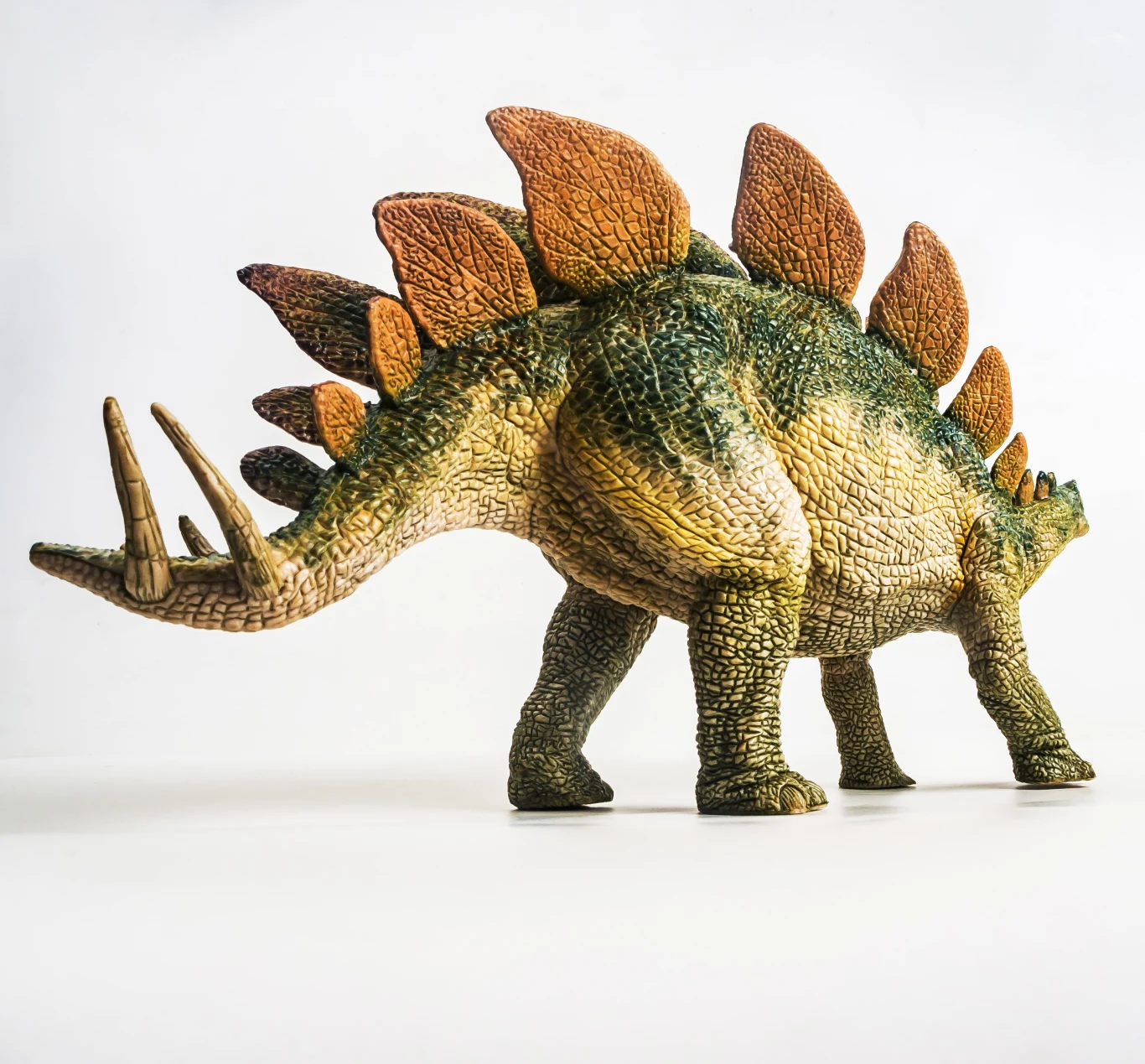 Stegozaur był pokryty pancernymi płytami i kolcami Stegozaur był pokryty pancernymi płytami i kolcami