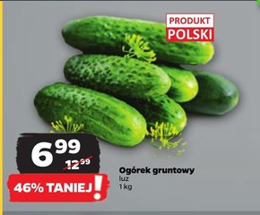Ogórek Polski niska cena