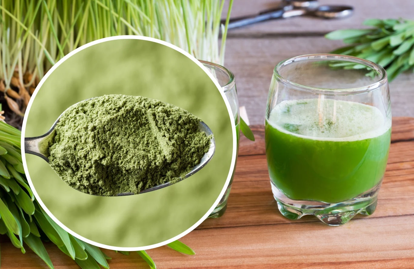 Jakie właściwości ma woda z chlorofilem? Jakie właściwości ma woda z chlorofilem?