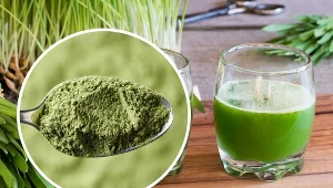 Zielony "uzdrawiacz" organizmu. Dlaczego warto pić wodę z chlorofilem?