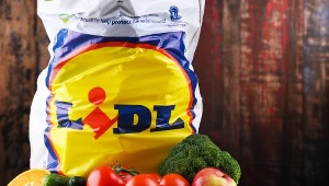 Lidl pokazał wyniki. Rekordowa sprzedaż polskich produktów za granicą
