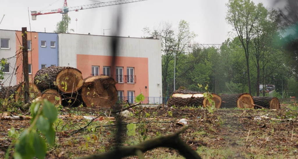 Prokuratura interweniuje ws. wycinki ponad 1200 drzew. Na działce miałby powstać m.in. dyskont. Źródło: Facebook @Stowarzyszenie Nasz Park