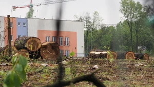 Prokuratura interweniuje ws. wycinki ponad 1200 drzew. Na działce miałby powstać m.in. dyskont. Źródło: Facebook @Stowarzyszenie Nasz Park