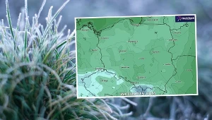 Jeszcze więcej nocnych przymrozków. Alerty w całej Polsce