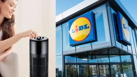 Wentylator kolumnowy w promocji od Lidla!