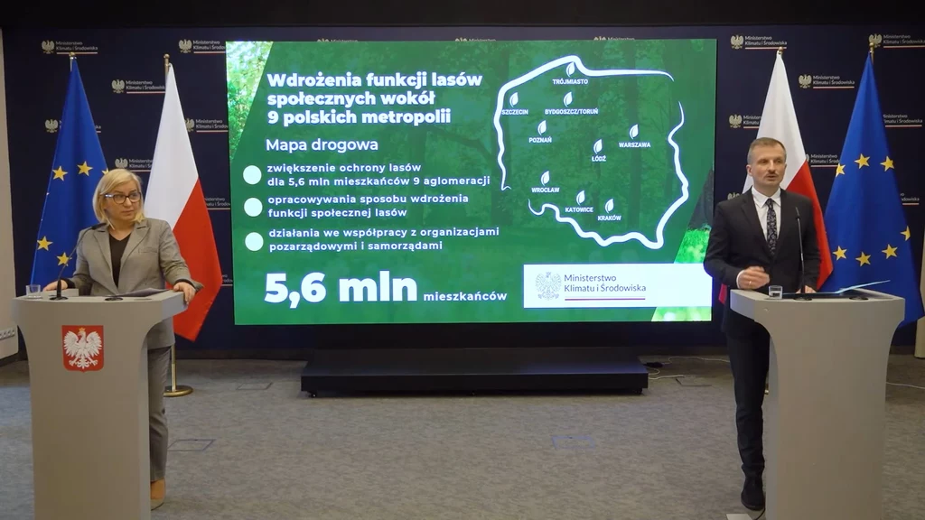 Lasy społeczne mają powstać w 9 lokalizacjach w Polsce. Jak szacuje resort, skorzysta z nich 5,6 mln Polek i Polaków