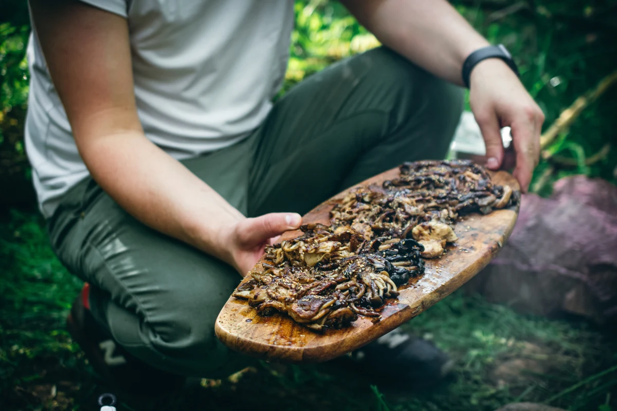Gotowanie w lesie daje dużo frajdy, natura zapewnia wszystko, co potrzebne