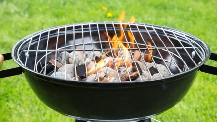 Brykiet do grilla za darmo w Lidlu!