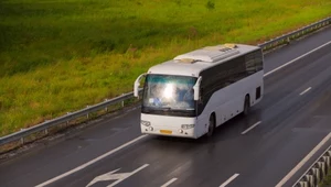 Co oznacza autobus we śnie? Podróż, a może zmiany w życiu? 