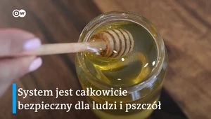 Ul w salonie? Teraz każdy może produkować miód w domu 