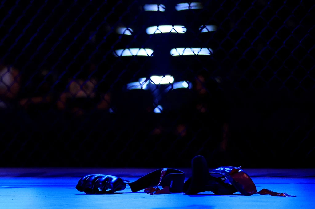 Rękawice UFC - MMA Rękawice UFC - MMA