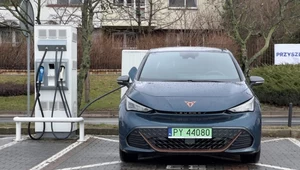 Za 5 lat wypożyczysz tylko auto elektryczne. "Oderwanie od rzeczywistości"