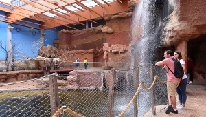 Ceny biletów do zoo wzrosły o więcej niż 15 proc. w 2023 roku