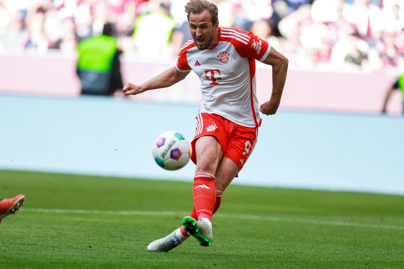 Harry Kane