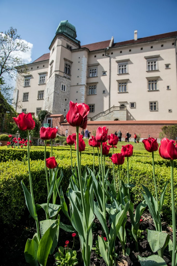 Zamek Królewski na Wawelu rozpoczął sezon wiosenno-letni