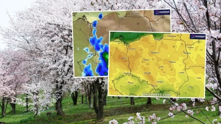 Pogoda na majówkę zapowiada się bardzo atrakcyjnie. Pierwsze trzy dni maja będą ciepłe i słoneczne - prognozuje IMGW. Pod koniec długiego weekendu nadejdą jednak deszcze, a nawet burze