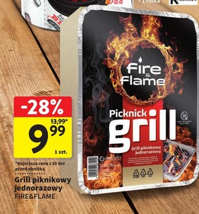 Grill Fire & Flame niska cena