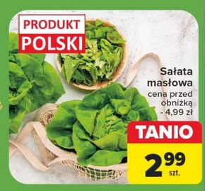 Sałata masłowa Polski niska cena
