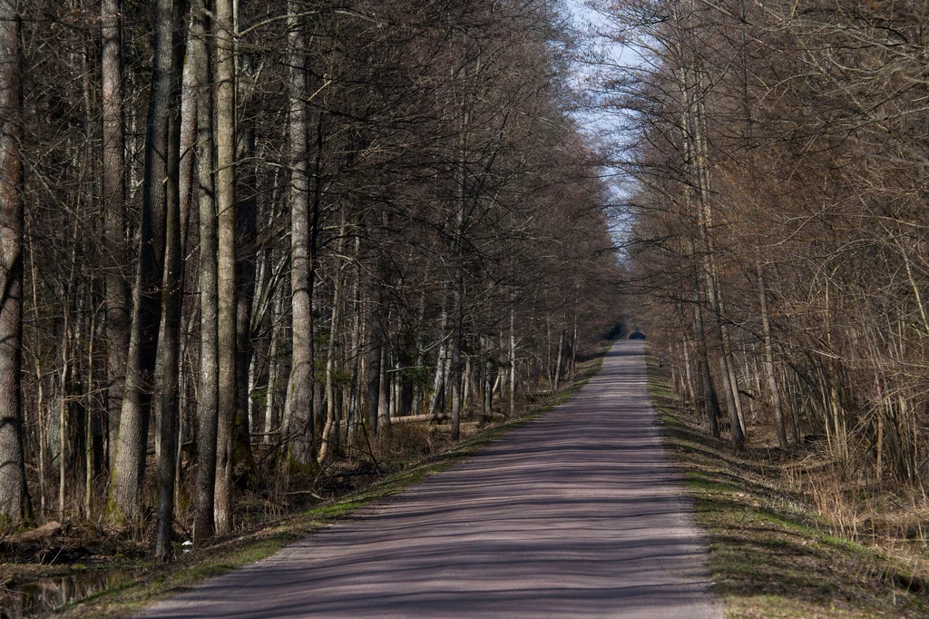 Zakaz wstępu do Trójmiejskiego Parku Krajobrazowego i lasów miejskich. Jest rozporządzenie Zakaz wstępu do Trójmiejskiego Parku Krajobrazowego i lasów miejskich. Jest rozporządzenie