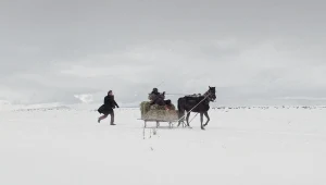 Kadr z filmu "Wśród wyschniętych traw"