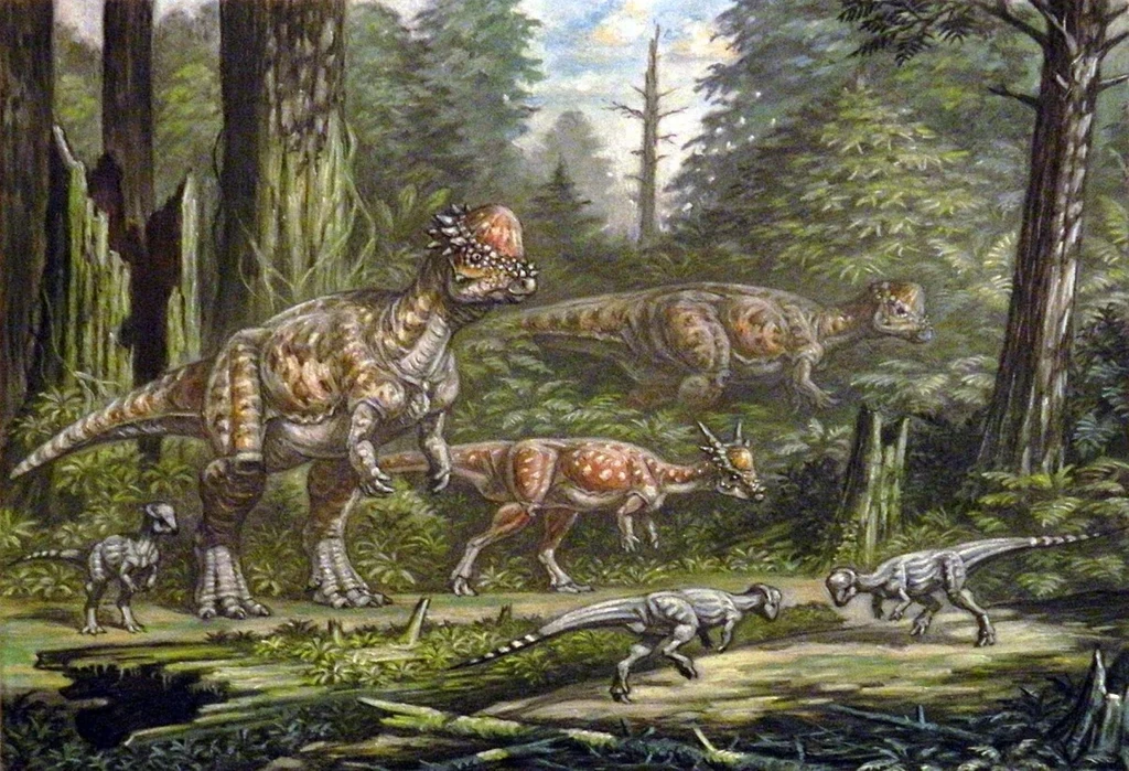 Nowe pachycefalozaury znalezione w Hall Creek w USA
