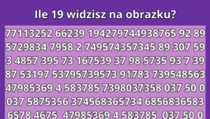 Czy uda ci się ujrzeć wszystkie liczby?