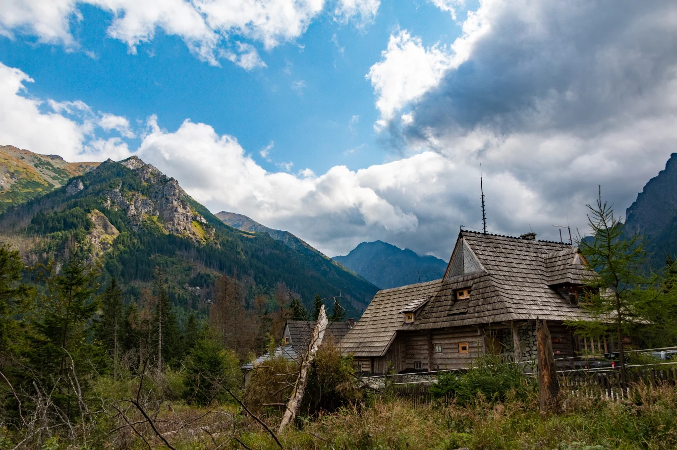 Arabscy turyści pokochali Zakopane Arabscy turyści pokochali Zakopane